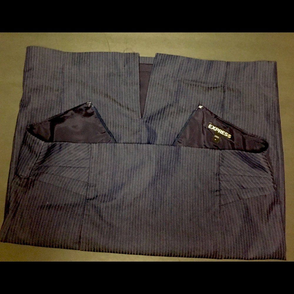 Express Pencil Skirt